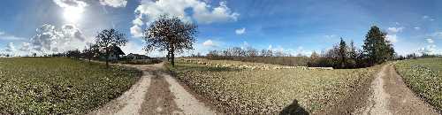 Schafherde im NSG Weidach- und Zettachwald