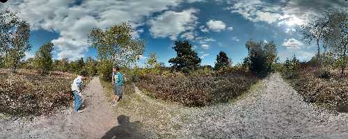 On the path Frensham