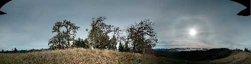 2012-11-22 11.35.26.jpg