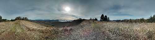 2012-11-22 11.58.42.jpg